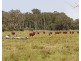 Lot 100 and 101 Bungawalbin-Whiporie Road, Bungawalbin NSW 2469