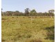 Lot 100 and 101 Bungawalbin-Whiporie Road, Bungawalbin NSW 2469