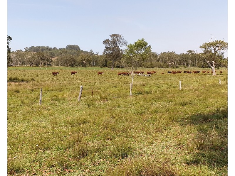 Lot 100 and 101 Bungawalbin-Whiporie Road, Bungawalbin NSW 2469