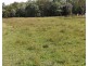 Lot 100 and 101 Bungawalbin-Whiporie Road, Bungawalbin NSW 2469