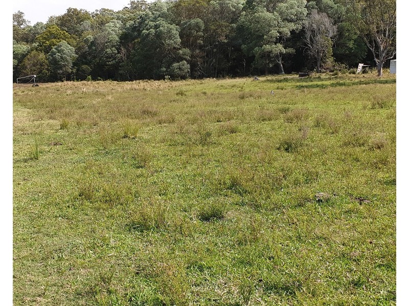 Lot 100 and 101 Bungawalbin-Whiporie Road, Bungawalbin NSW 2469