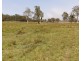 Lot 100 and 101 Bungawalbin-Whiporie Road, Bungawalbin NSW 2469