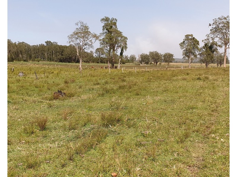 Lot 100 and 101 Bungawalbin-Whiporie Road, Bungawalbin NSW 2469