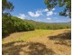 25 Chelmsford Road, Rock Valley NSW 2480