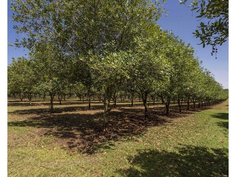 373 Ellis Road, Alstonville NSW 2477