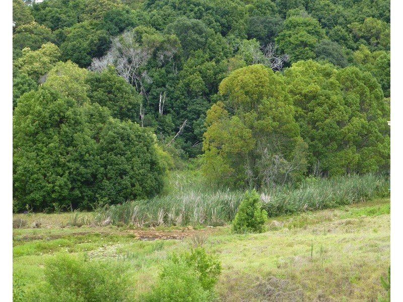 Goonellabah NSW 2480