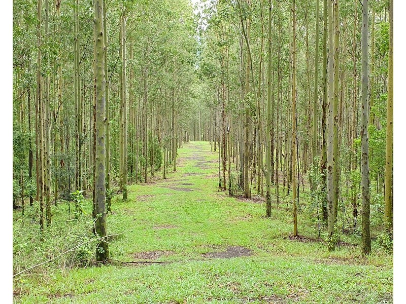 306  Crofton Road, Nimbin NSW 2480