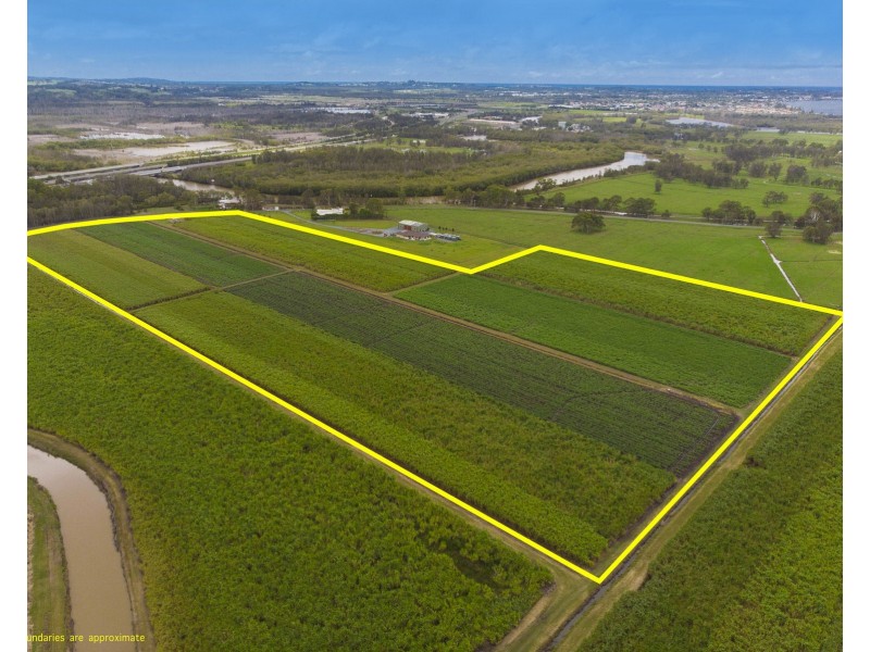 55 Pimlico Road, Pimlico NSW 2478