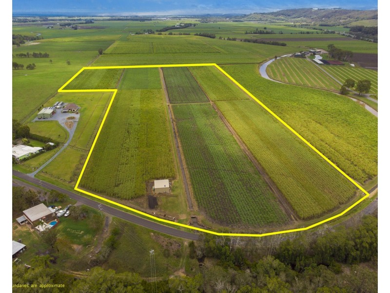 55 Pimlico Road, Pimlico NSW 2478