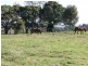 Goonellabah NSW 2480