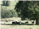 Goonellabah NSW 2480