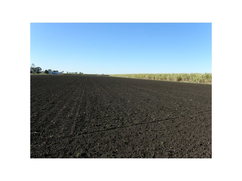 Pimlico NSW 2478