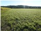 Pimlico NSW 2478