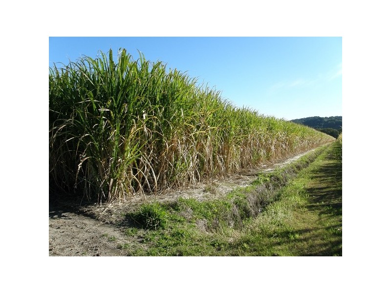 Pimlico NSW 2478