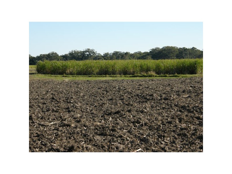 Pimlico NSW 2478