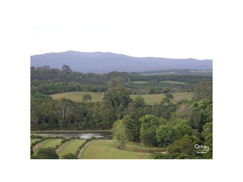 500 Duncan Road, Dunoon NSW 2480