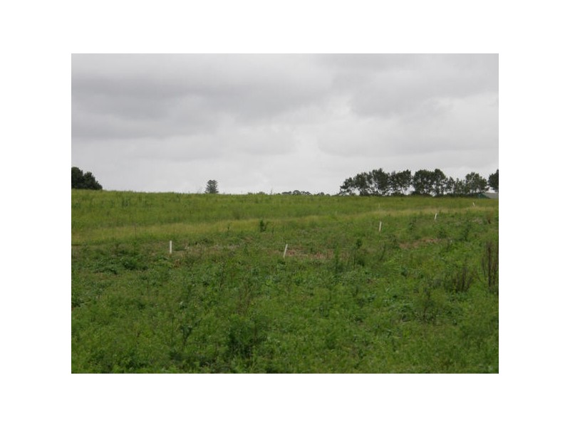 541 Ellis Rd, Alstonville NSW 2477