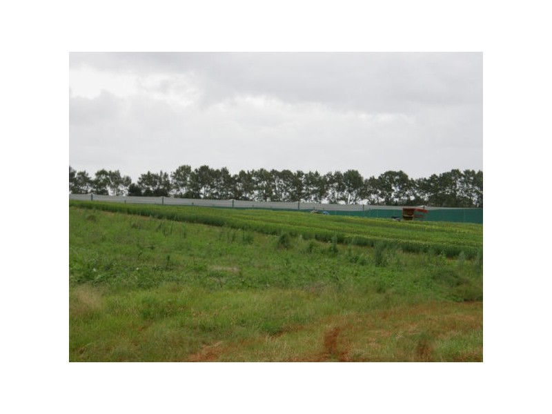 541 Ellis Rd, Alstonville NSW 2477