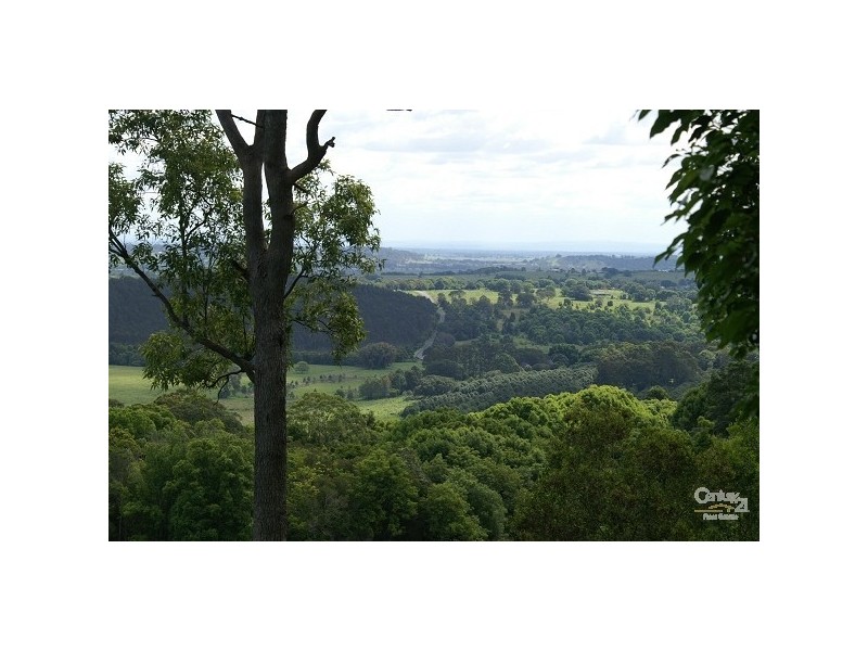 93 Grennan Rd, Tregeagle NSW 2480