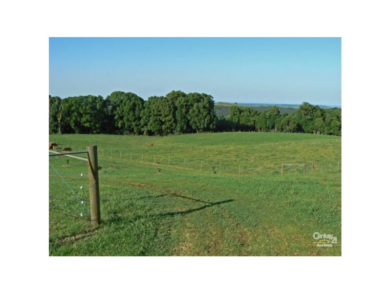 93 Grennan Rd, Tregeagle NSW 2480