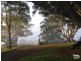 Booyong NSW 2480