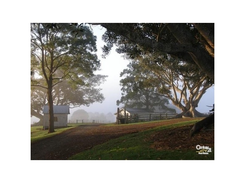 Booyong NSW 2480