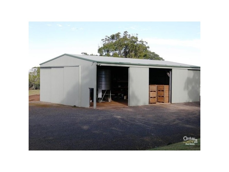Booyong NSW 2480