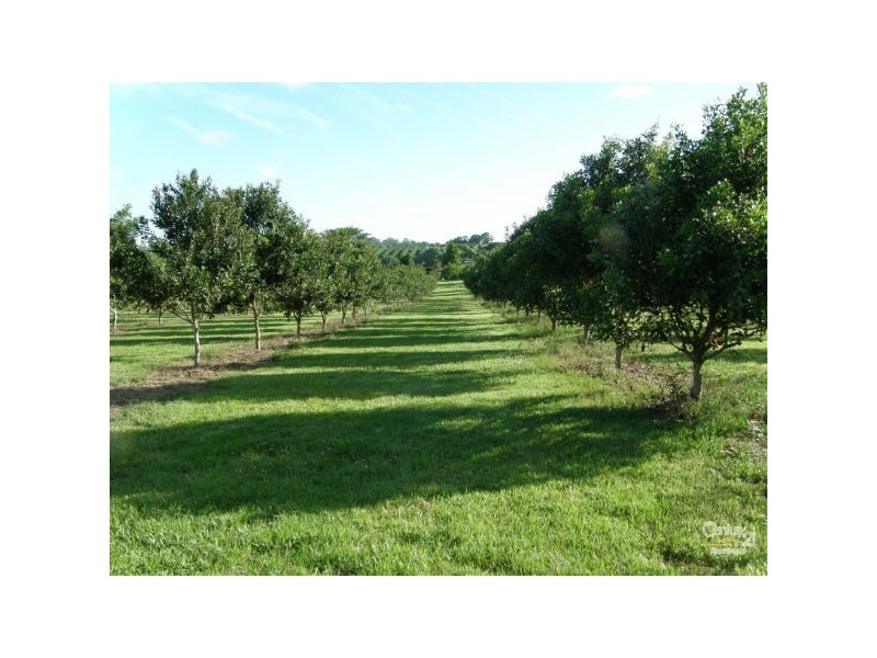 Alstonville NSW 2477