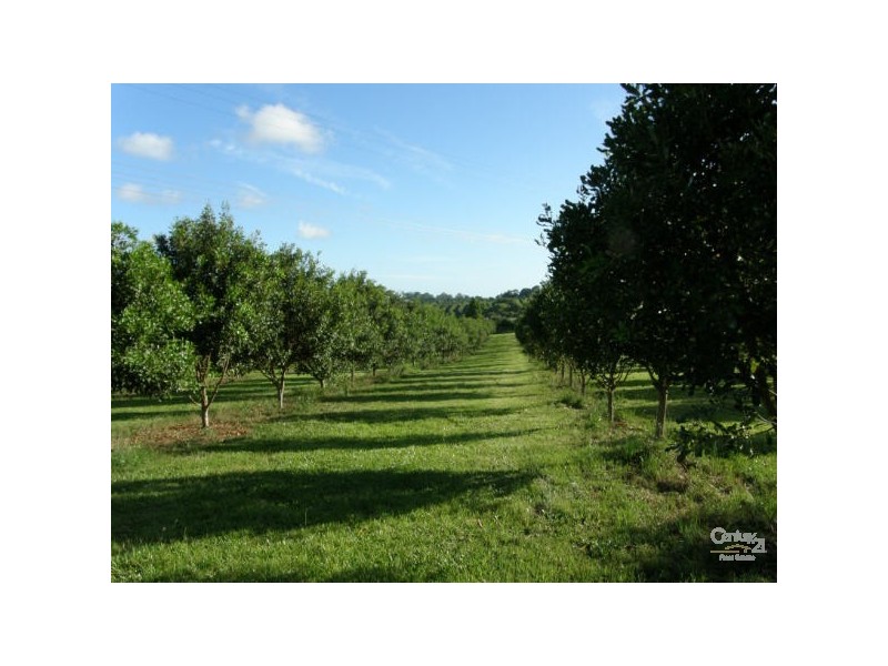 Alstonville NSW 2477