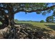 Bangalow NSW 2479