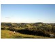 Bangalow NSW 2479