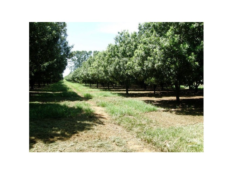 425 Wardell Road, Alstonville NSW 2477