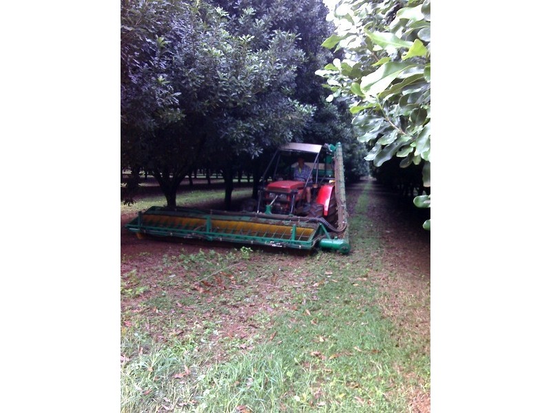 425 Wardell Road, Alstonville NSW 2477