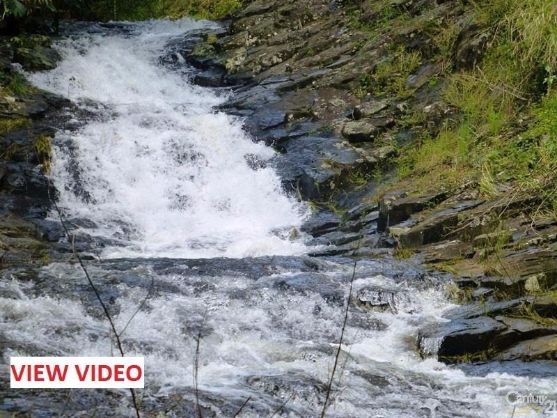 460 Marom Creek Rd, Meerschaum Vale NSW 2477