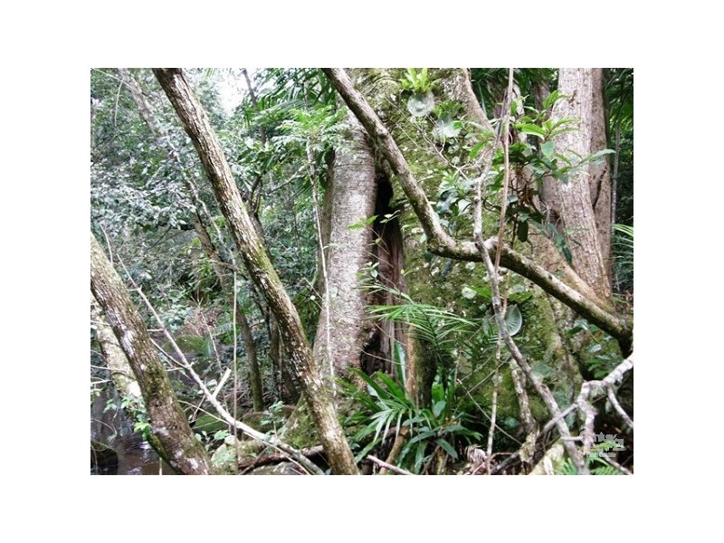 460 Marom Creek Rd, Meerschaum Vale NSW 2477