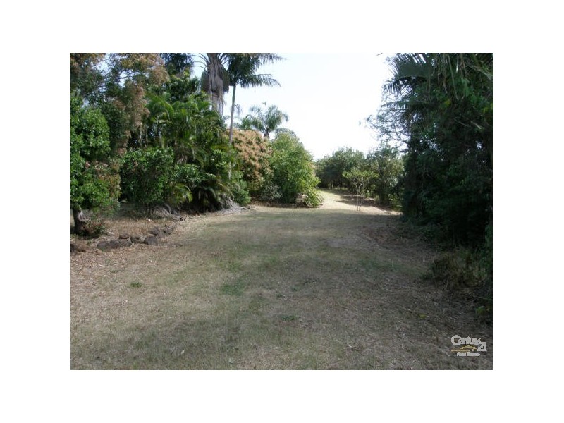 64 Fairview Road, Rosebank NSW 2480