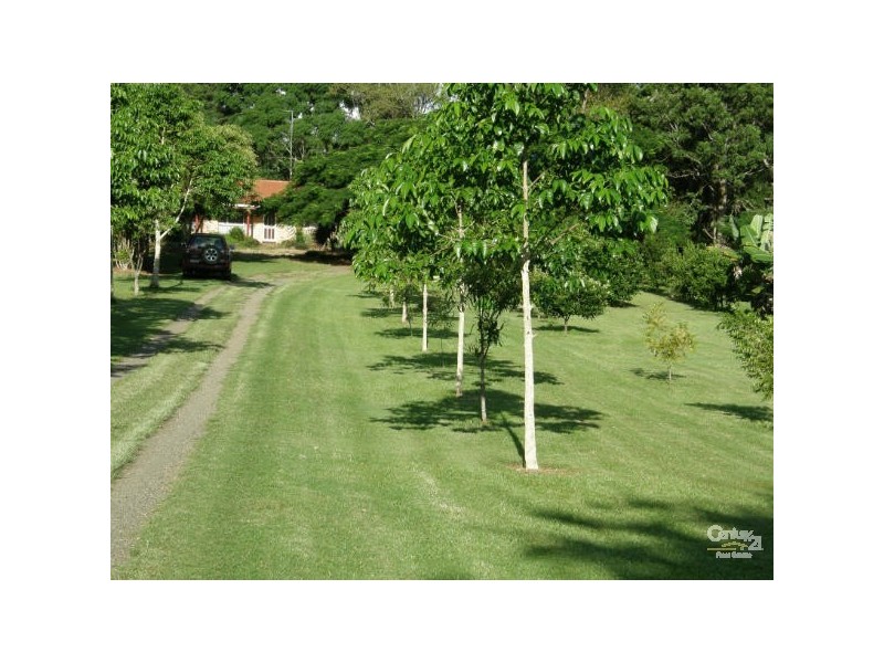 509 Wardell Road, Alstonville NSW 2477