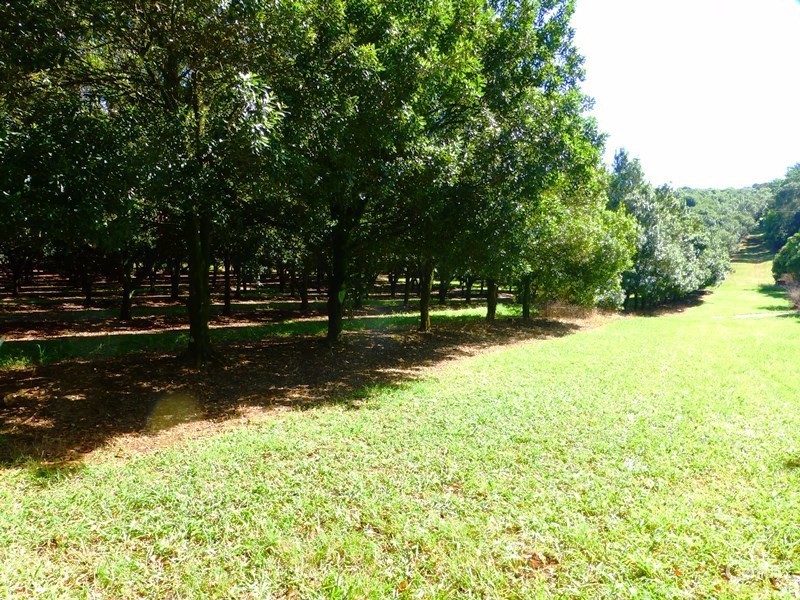 23 Boundary Road, Lindendale NSW 2480