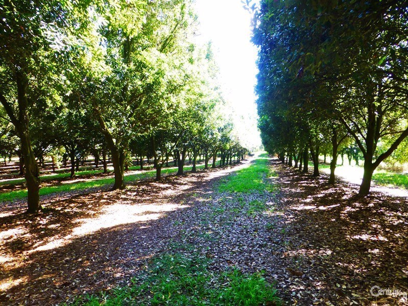 23 Boundary Road, Lindendale NSW 2480