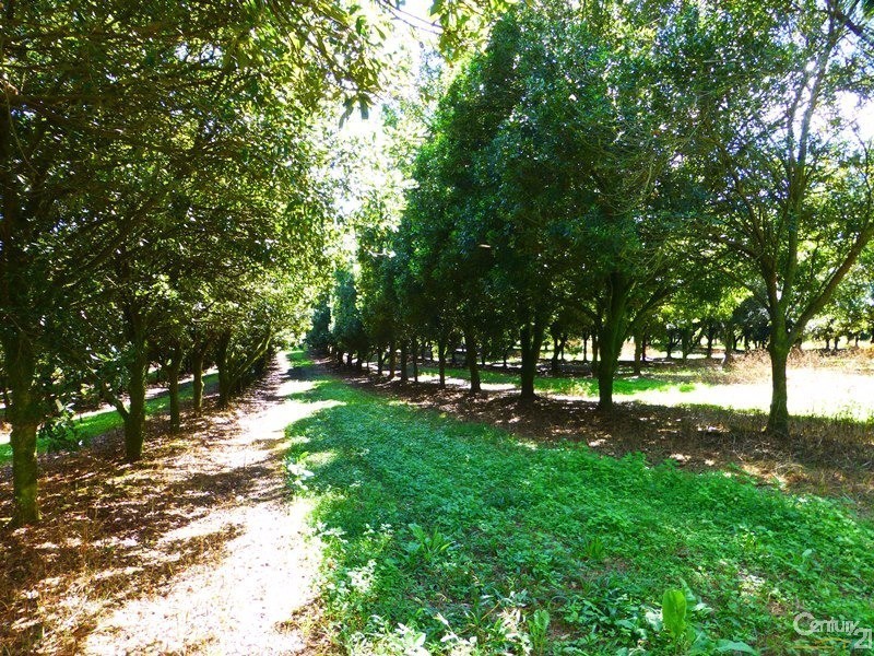 23 Boundary Road, Lindendale NSW 2480