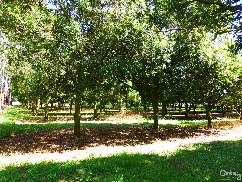 23 Boundary Road, Lindendale NSW 2480