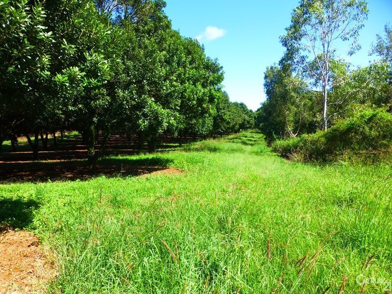 23 Boundary Road, Lindendale NSW 2480