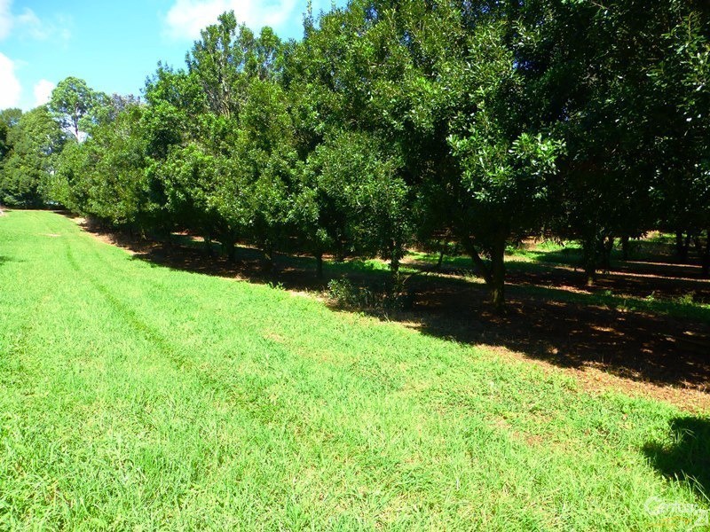 23 Boundary Road, Lindendale NSW 2480