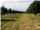 Lot 2/36 Lindendale Road, Lindendale NSW 2480