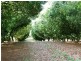 Lot 2/36 Lindendale Road, Lindendale NSW 2480