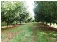 Lot 2/36 Lindendale Road, Lindendale NSW 2480