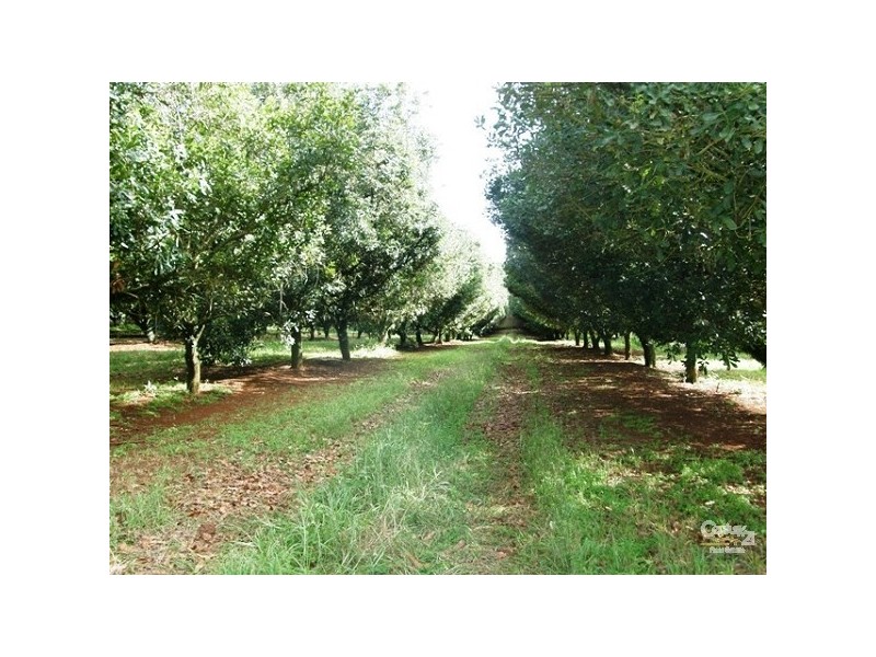 Lot 2/36 Lindendale Road, Lindendale NSW 2480