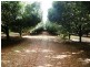 Lot 1/36 Lindendale Road, Lindendale NSW 2480