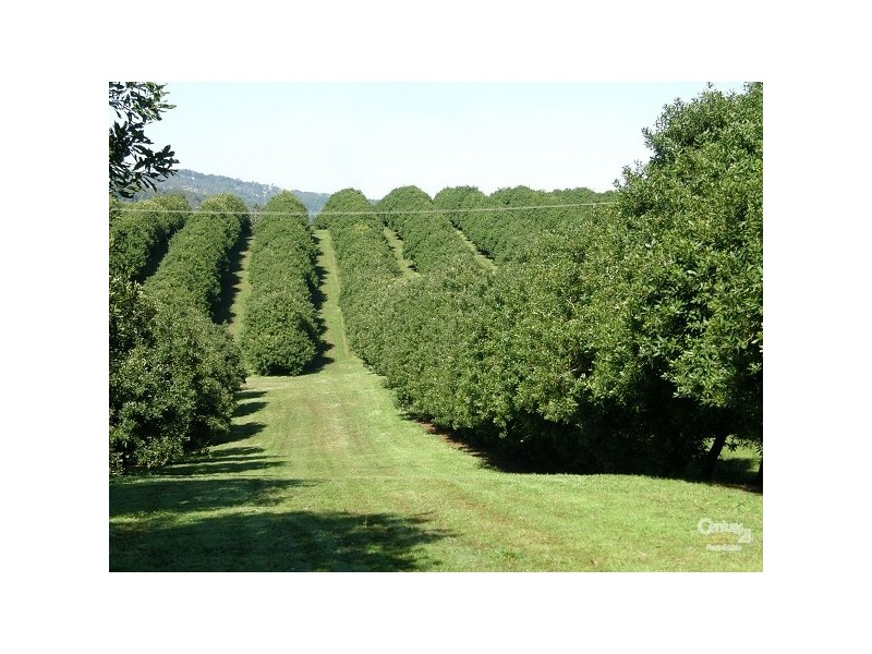 193 Channon Road, Dunoon NSW 2480