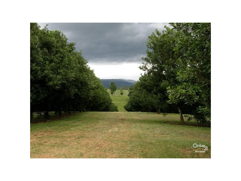 193 Channon Road, Dunoon NSW 2480